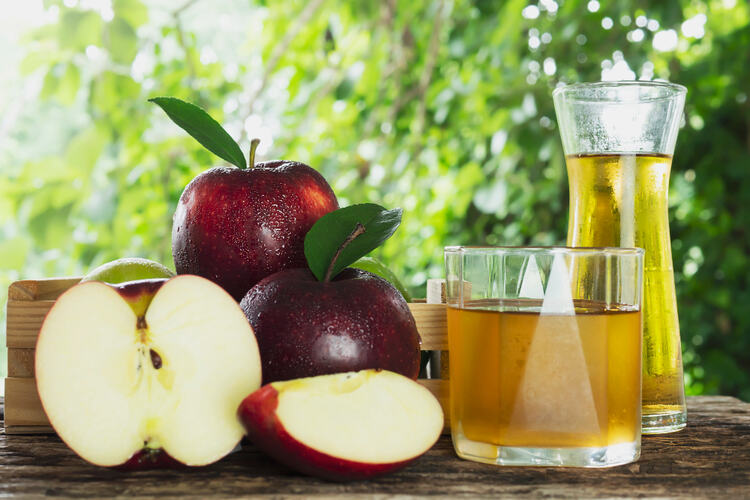 Apple Cider Vinegar and Liquid Soap Trap 
